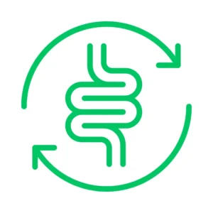 Digestión y Salud Intestinal